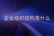 企业组织结构：分工协作体系，对战略实施有何关键作用？