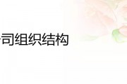 企业组织结构解析：从U型结构到广义概念，全面掌握组织设计要点
